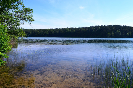 Lake Asveja - Dubingiai Lake - Lithuania