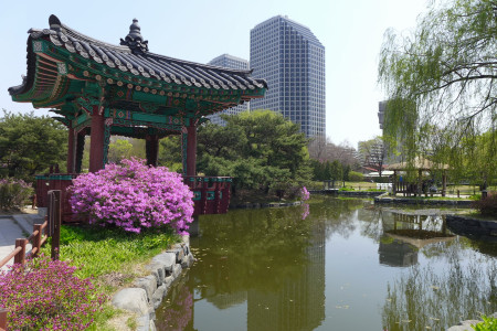 Yeouido Park - 여의도공원 - Seoul - South Korea